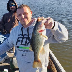 Meet your Posher, Jeff